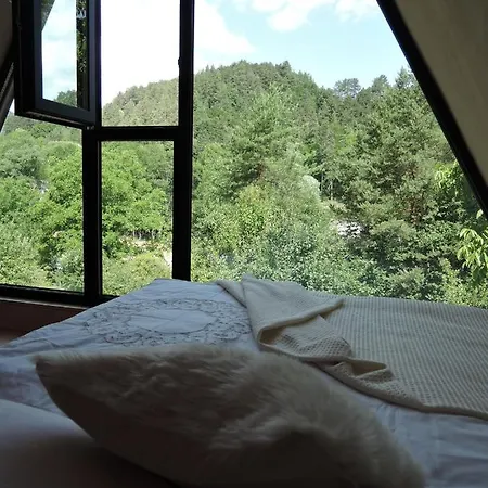 Domcek Stryka Ivana *