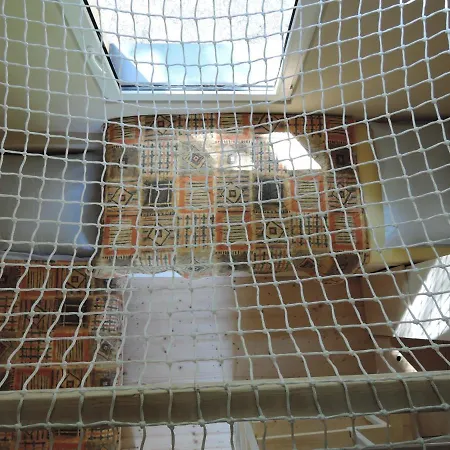 Domcek Stryka Ivana * Malachov