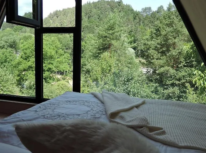 Domcek Stryka Ivana *